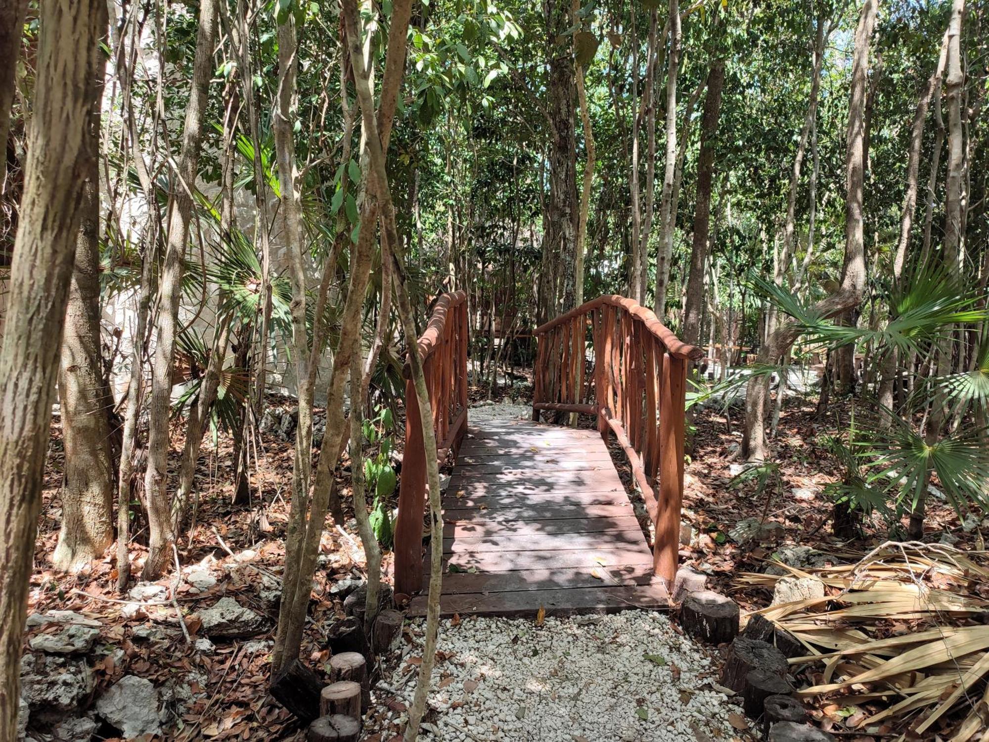 Aldea Maya-Ha Cabañas con cenotes Puerto Morelos Exterior foto