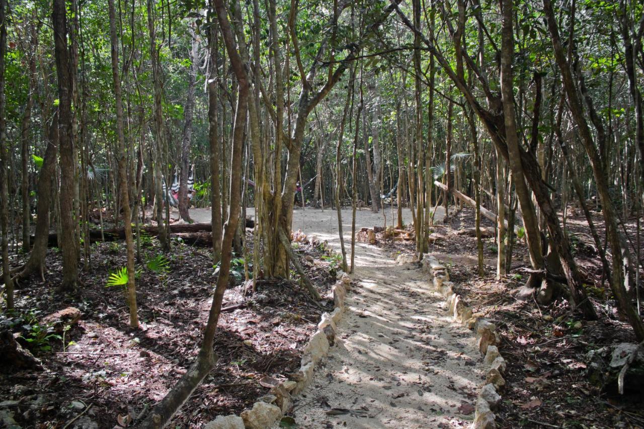 Aldea Maya-Ha Cabañas con cenotes Puerto Morelos Exterior foto